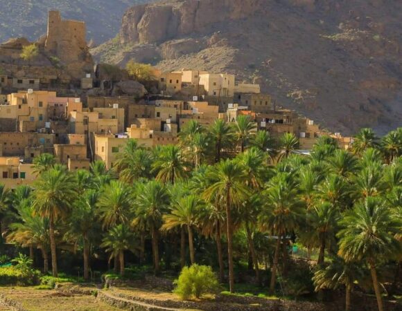 Birkat Al Mouz, Jabal Al Akhdar, and Three Towns Trek Full-Day Tour