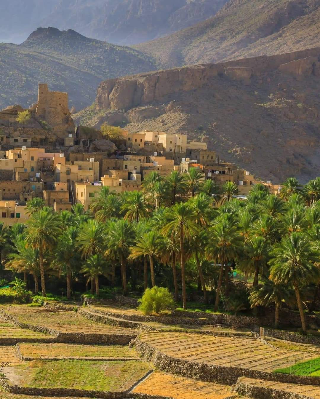 Birkat Al Mouz, Jabal Al Akhdar, and Three Towns Trek Full-Day Tour