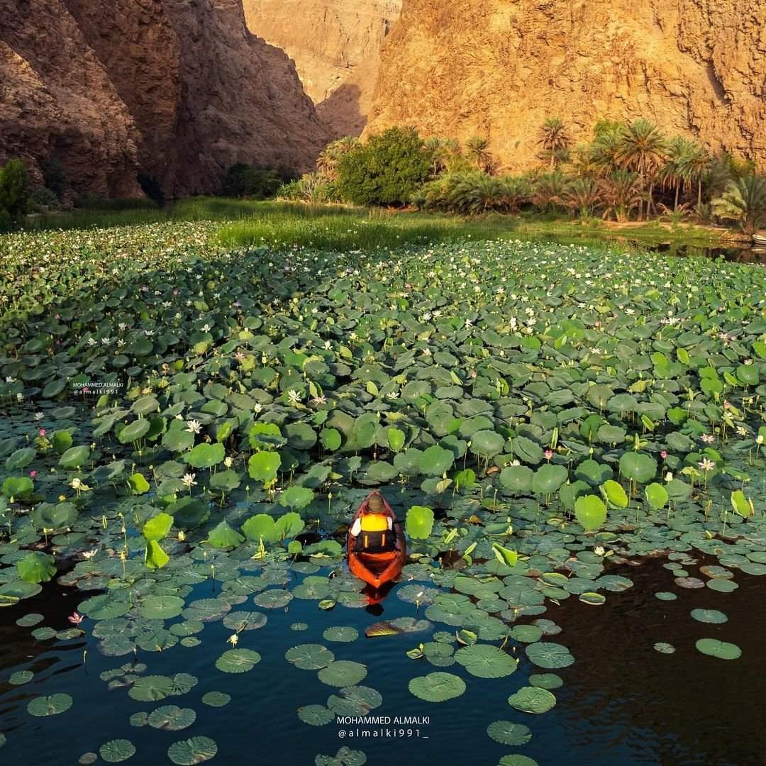 Wadi Al Arbeen Day Tour